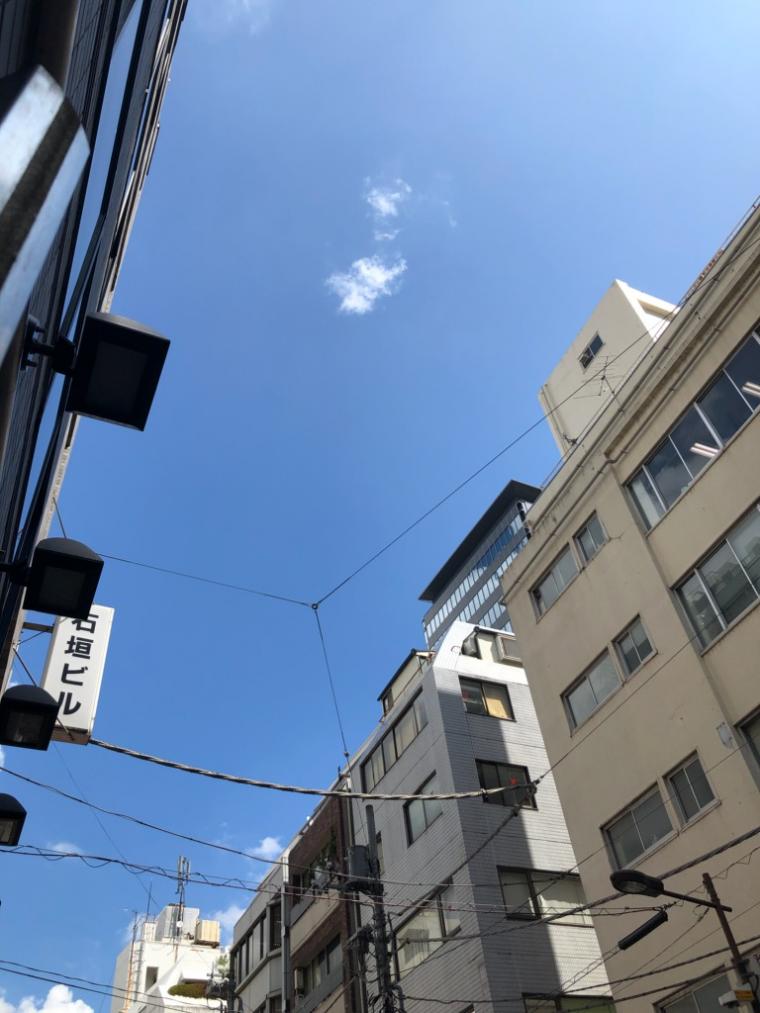 今日もいい天気!ですが、暑い、、、、